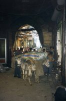 Syrie (سورية) - Alep (حلب) - La vieille ville (المدينة العتيقة) - Les Souks (الأسواق) - Transport de marchandises - (Photo, D. van Hoorde) - 6/9 Syrie (سورية) - Alep (حلب) - La vieille ville (المدينة العتيقة) - Les Souks (...)
