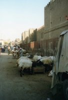 Egypte (مصر) - Période arabo-musulmane (الحقبة العربية-الإسلامية) - Les Fatimides (...)