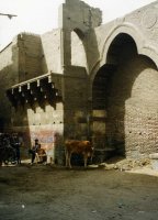 Egypte (مصر) - Période arabo-musulmane (الحقبة العربية-الإسلامية) - Les (...)