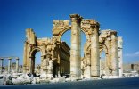 Syrie (سورية) - Sites antiques (مواقع أثرية) - Le Désert (الصحراء) - Palmyre (...)