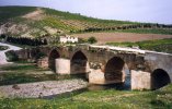 Syrie (سورية) - Sites antiques (مواقع أثرية) - Le Nord d'Alep (شمال حلب) - (...)