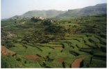 Yémen (اليمن) - Plateaux centraux, orientaux et occidentaux - Paysages (مناظر) - (...)