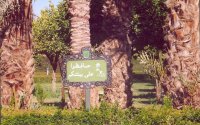 حديقة عمومية بمراكش - المغرب