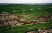 Syrie (سورية) - Sites antiques (مواقع أثرية) - Le Sud d'Alep (جنوب حلب) - Ebla (...)