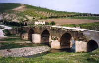 Syrie (سورية) - Sites antiques (مواقع أثرية) - Le Nord d'Alep (شمال حلب) - Cyrrhus (...)