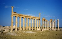 Syrie (سورية) - Sites antiques (مواقع أثرية) - Le Désert (الصحراء) - Palmyre (...)