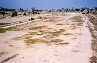 Liban (لبنان) - Tyr (صور) - Vue de l'hippodrome - Site d'el-Bass - (Photo, D. van (...)
