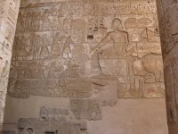 Egypte (مصر) - Époque Pharaonique (العصر الفرعوني) - Nouvel Empire (-1540 à -1069 (...)