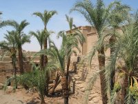 Egypte (مصر) - Époque ptolémaïque (-332 à -31) (عهد البطالمة) - Temple d'Hathor (...)