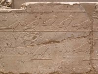 Egypte (مصر) - Époque Pharaonique (العصر الفرعوني) - Nouvel Empire (-1540 à -1069 ; dynasties XVIII, XIX et XX) - Temple d'Amon, Mout et Khonsou à Karnak (Louxor) - Les premières fondations du temple de Karnak datent de Sésostris Ier (XIIe dynastie). Mais c'est au Nouvel Empire qu'eurent lieu les plus grands travaux. Les Lagides y firent aussi des travaux - Sur les murs de l'une des salles annexes de l'Akhmenou, appellée le jardin botanique, sont représentées de nombreuses espèces d'animaux et de plantes rencontrées par Thoutmosis III lors de sa campagne en Syrie - (Photo, D. van Hoorde) - 19/27 Egypte (مصر) - Époque Pharaonique (العصر الفرعوني) - Nouvel Empire (-1540 à -1069 (...)