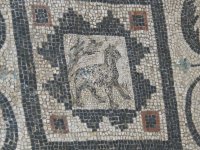 Egypte (مصر) - Époque ptolémaïque (-332 à -31) (عهد البطالمة) - Alexandrie (الإسكندرية) - Villa dite « des oiseaux » - (Photo, D. van Hoorde) - 3/3 Egypte (مصر) - Époque ptolémaïque (-332 à -31) (عهد البطالمة) - Alexandrie (...)