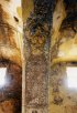 Jordanie (الأردن) - Palais (قصور) - Qusayr Amra (قصير عمرة) - Une fresque du Qusayr (...)