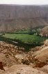 Yémen (اليمن) - Désert oriental (الصحراء الشرقيّة) - (Photo, D. van Hoorde) - (...)
