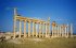 Syrie (سورية) - Sites antiques (مواقع أثرية) - Le Désert (الصحراء) - Palmyre (...)