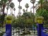 Maroc (المغرب) - Jardins (حدائق) - Marrakech (مراكش) - Jardin Majorelle (حديقة (...)