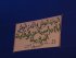 أيام دراسية - تمنراست - الجزائر