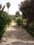 Maroc (المغرب) - Jardins (حدائق) - Rabat (الرباط) - Jardin des Oudayas (حديقة (...)