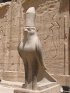Egypte (مصر) - Époque ptolémaïque (-332 à -31) (عهد البطالمة) - Temple d'Horus (...)
