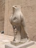 Egypte (مصر) - Époque ptolémaïque (-332 à -31) (عهد البطالمة) - Temple (...)